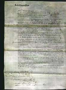 Court of Common Pleas - Ann Sophia Shearly-Original Ancestry