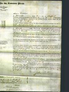 Court of Common Pleas - Margaret Keys-Original Ancestry