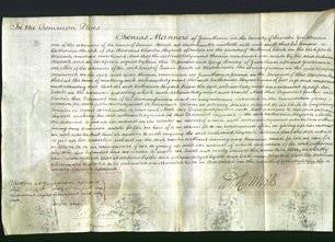 Court of Common Pleas - Catharine Heycock-Original Ancestry