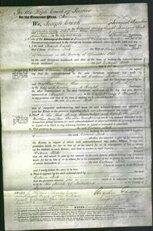 Court of Common Pleas - Celena Pick-Original Ancestry