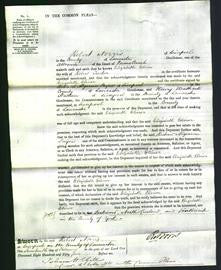 Court of Common Pleas - Elizabeth Elinor Tucker-Original Ancestry