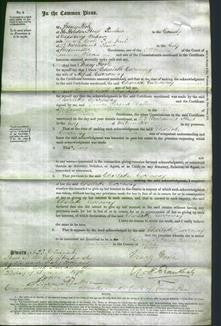 Court of Common Pleas - Charlotte Carroway-Original Ancestry