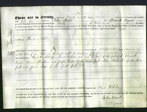 Deed by Married Women - Agnes Nicholson-Original Ancestry