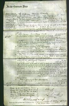 Court of Common Pleas - Sarah Elizabeth Warman-Original Ancestry