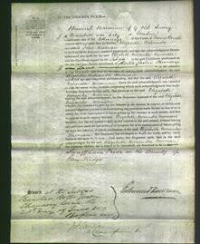 Court of Common Pleas - Elizabeth Miranda Newman-Original Ancestry