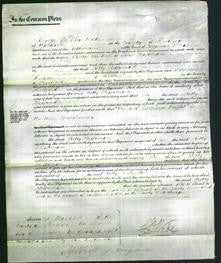 Court of Common Pleas - Kitty Chapman-Original Ancestry