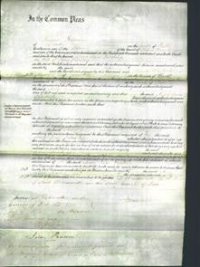 Court of Common Pleas - Mary Ann Kitching-Original Ancestry
