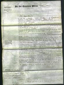 Court of Common Pleas - Isabella Sawyer-Original Ancestry