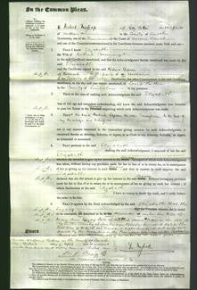 Court of Common Pleas - Elizabeth Cummington-Original Ancestry