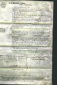 Court of Common Pleas - Sarah Brook Greaves-Original Ancestry