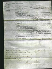 Court of Common Pleas - Mary Ann Brown-Original Ancestry