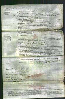 Court of Common Pleas - Mary Susanna Preston-Original Ancestry