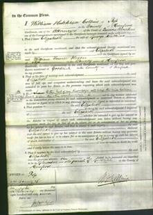 Court of Common Pleas - Elizabeth Watkins-Original Ancestry