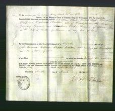 Appointment of Special Commissioners - Christian Koch, Robert Koch, Friederich Wolff, Friederich Steinthal and Stonhewer Parker Freeman-Original Ancestry