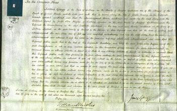 Court of Common Pleas - Mary Bayley-Original Ancestry