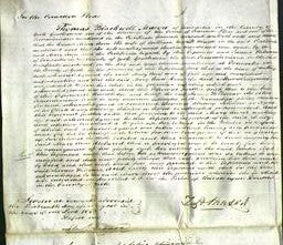 Court of Common Pleas - Mary Ann Hewitt-Original Ancestry