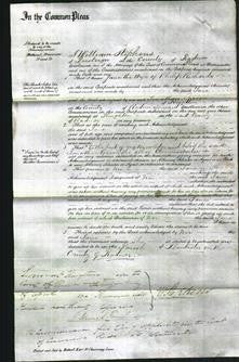 Court of Common Pleas - Jane Richards-Original Ancestry