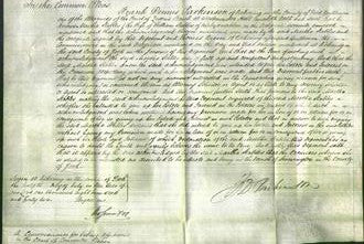 Court of Common Pleas - Martha Stables-Original Ancestry