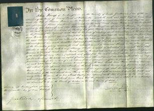 Court of Common Pleas - Sarah Anne Hearn-Original Ancestry