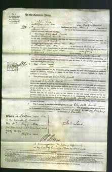 Court of Common Pleas - Elizabeth Smith-Original Ancestry