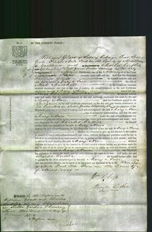 Court of Common Pleas - Mary Ann Marshall-Original Ancestry