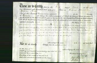 Deed by Married Women - Sarah Curties-Original Ancestry