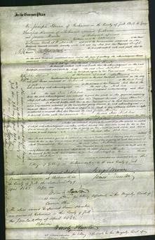 Court of Common Pleas - Jane Nicholson-Original Ancestry