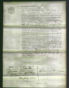 Court of Common Pleas - Elizabeth Miranda Newman-Original Ancestry