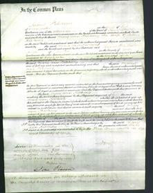 Court of Common Pleas - Mary Ann Kitching-Original Ancestry