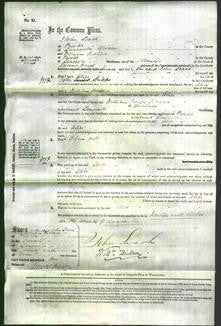 Court of Common Pleas - Alice Snape-Original Ancestry