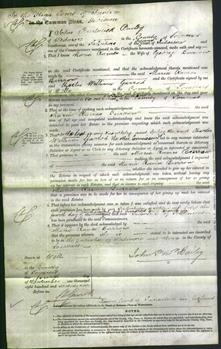 Court of Common Pleas - Maria Raines Burrow