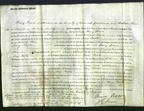 Court of Common Pleas - Mary Hooke-Original Ancestry