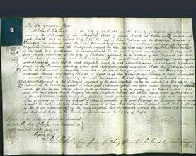 Court of Common Pleas - Elizabeth Orsborn-Original Ancestry