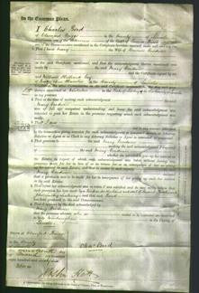 Court of Common Pleas - Mary Goodwin-Original Ancestry