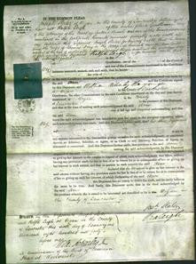 Court of Common Pleas - Ann Fray-Original Ancestry