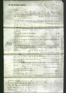 Court of Common Pleas - Mary Sutton-Original Ancestry