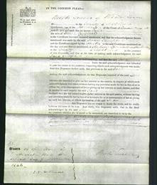 Court of Common Pleas - Jane Campbell-Original Ancestry