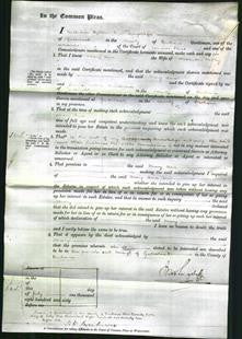 Court of Common Pleas - Mary Ann Hedley-Original Ancestry