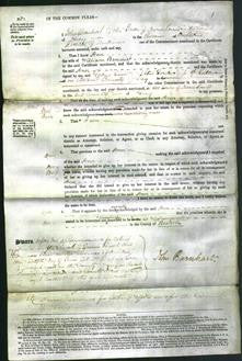 Court of Common Pleas - Ann Benedict-Original Ancestry