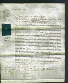 Court of Common Pleas - Jane Pershouse-Original Ancestry