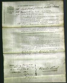 Court of Common Pleas - Joanna Green-Original Ancestry