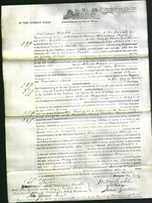 Court of Common Pleas - Selina Higgins-Original Ancestry