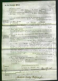 Court of Common Pleas - Mary James Martin-Original Ancestry