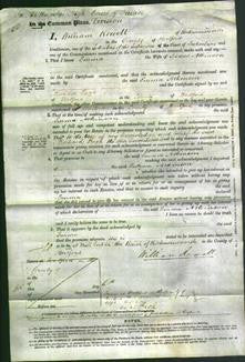 Court of Common Pleas - Emma Atkinson-Original Ancestry