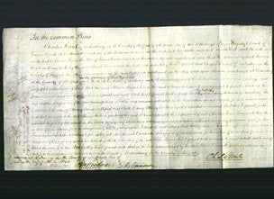 Court of Common Pleas - Maria Purves-Original Ancestry