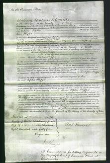 Court of Common Pleas - Sophia Phipps-Original Ancestry