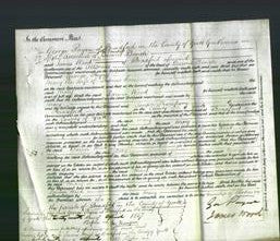 Court of Common Pleas - Mary Denison-Original Ancestry