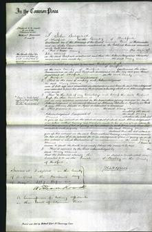 Court of Common Pleas - Mary Minns-Original Ancestry