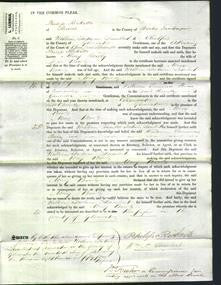 Court of Common Pleas - Mary Bowly-Original Ancestry