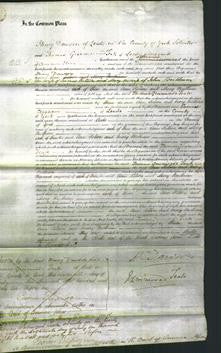 Court of Common Pleas - Ann Kitson and Mary Beetham-Original Ancestry